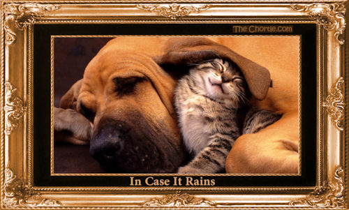 In case it rains
